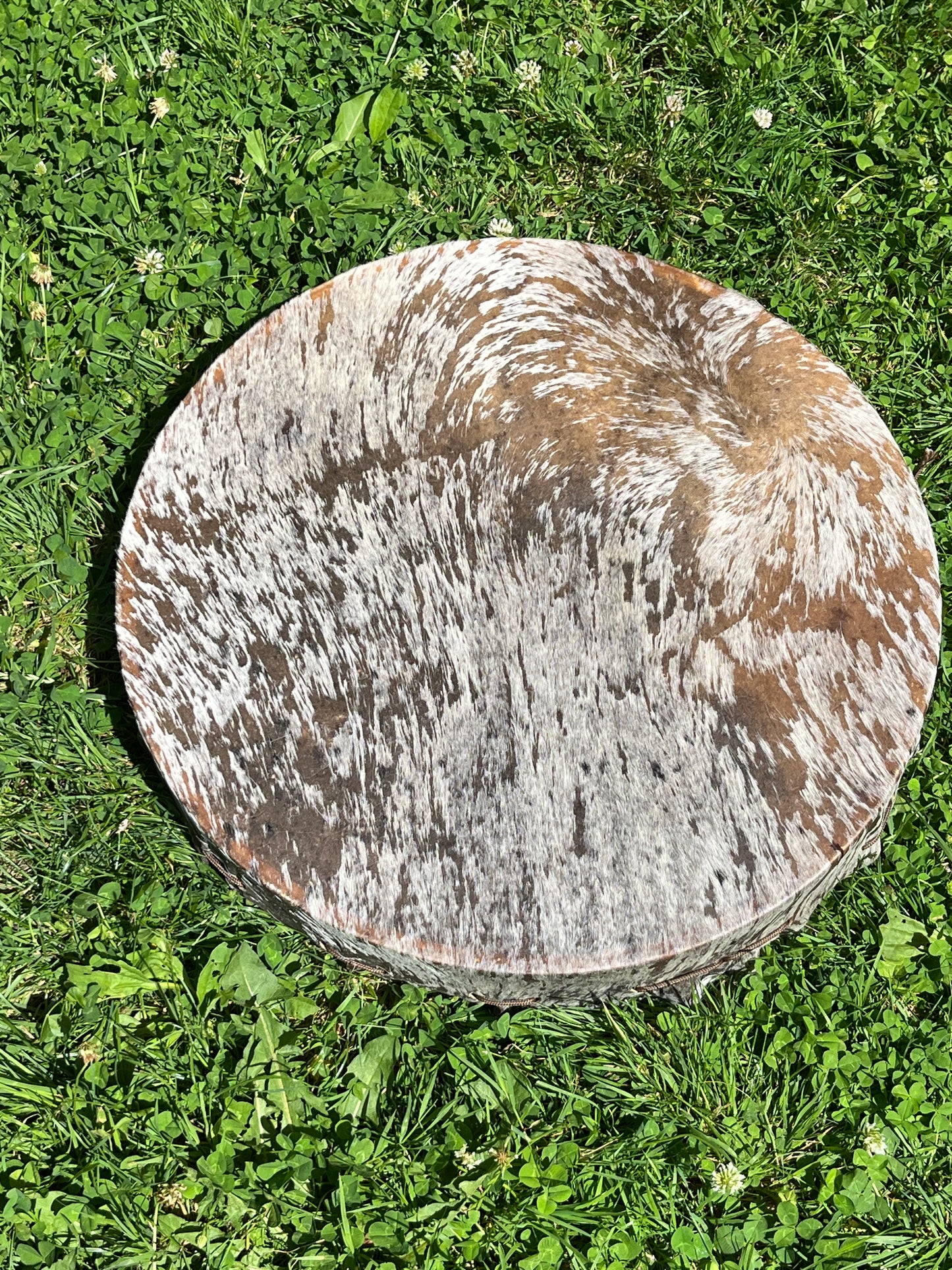 Tambour chamanisme Buffle