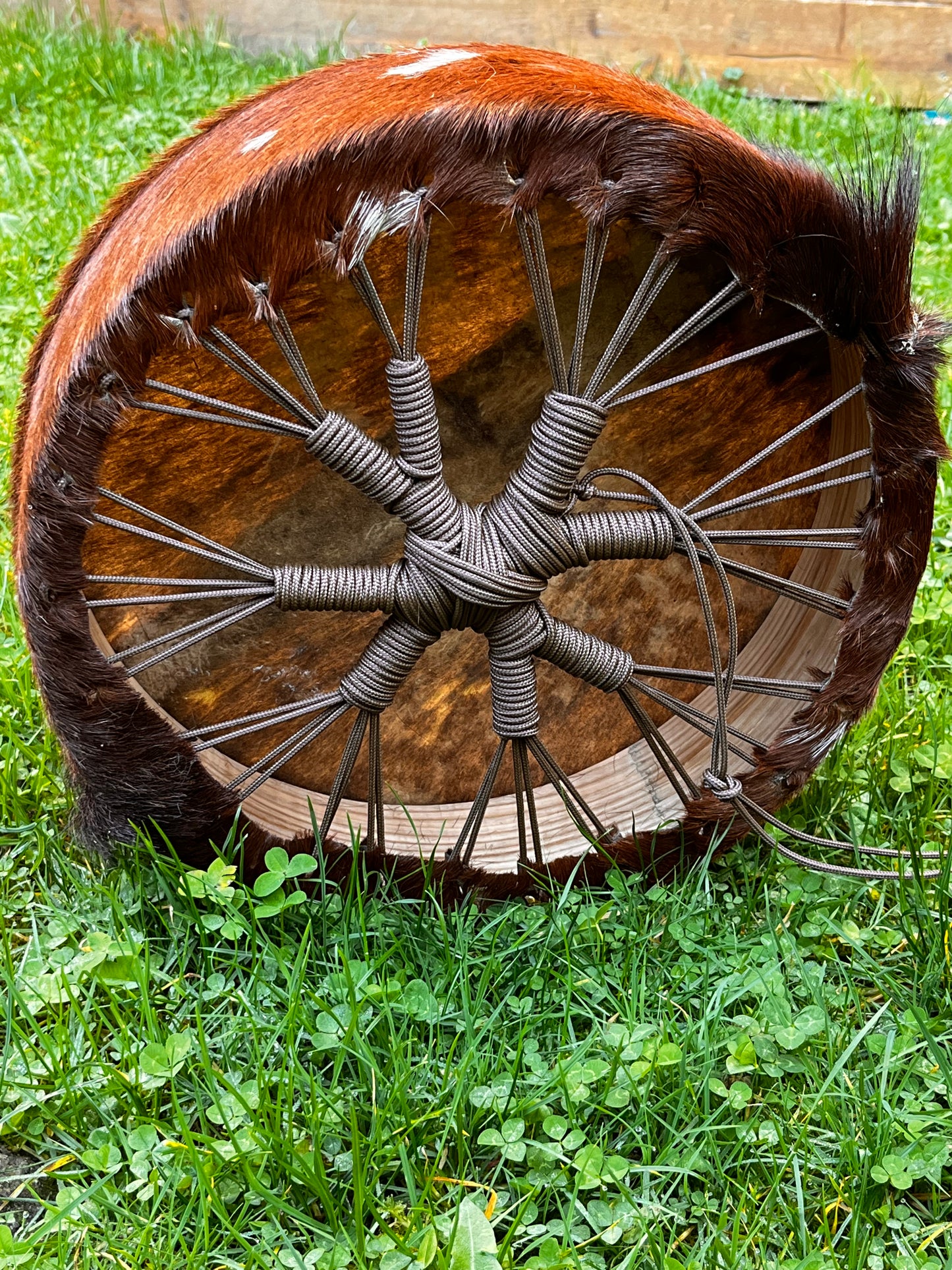 Tambour de cérémonie en peau de Bouc