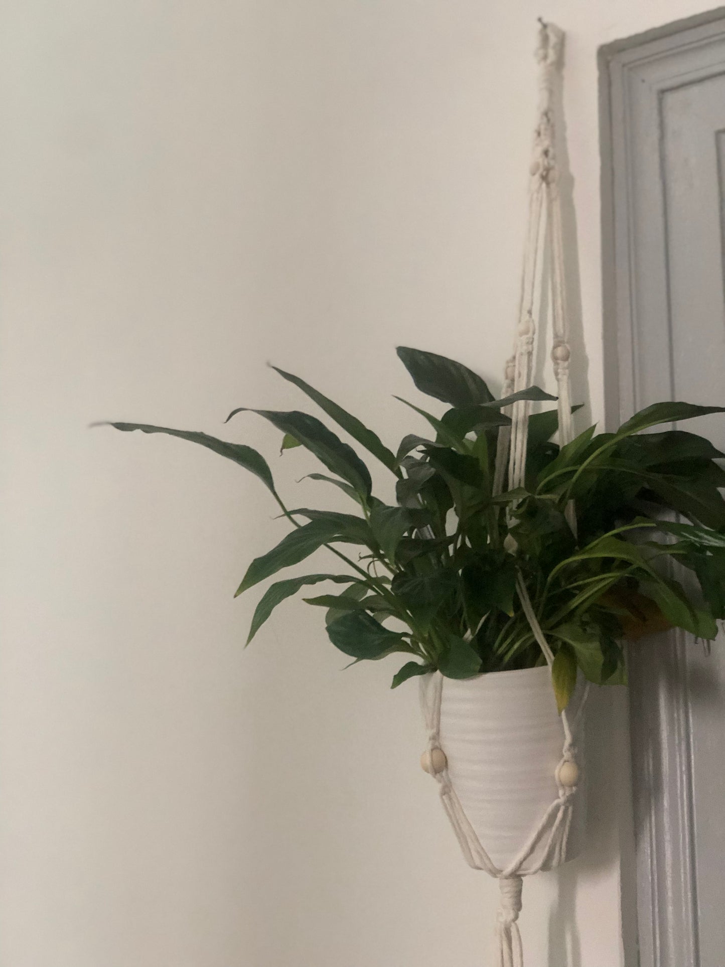 Suspension murale, porte-pot en macramé pour vos fleurs