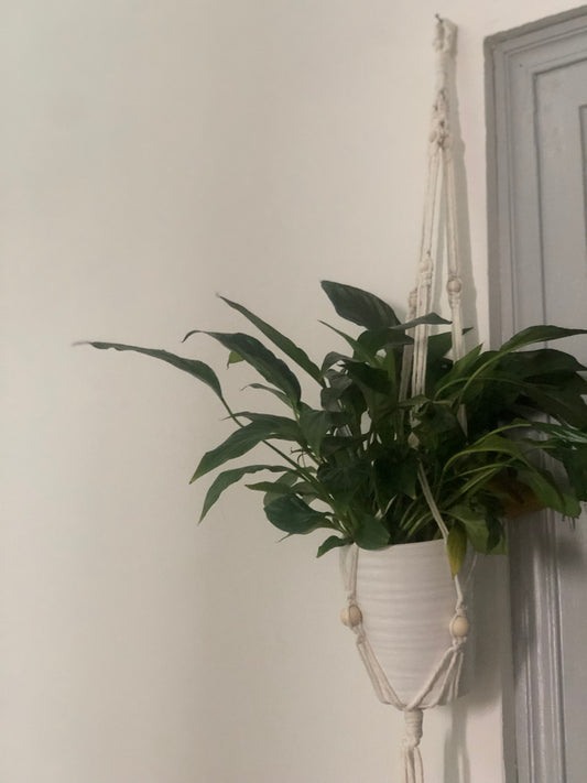 Suspension murale, porte-pot en macramé pour vos fleurs